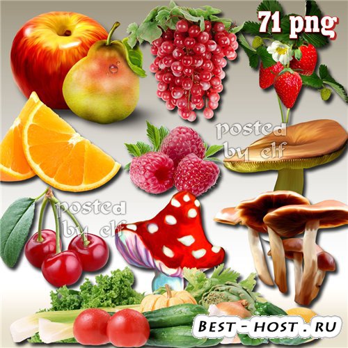 Овощи, фрукты, грибочки – PNG клипарт