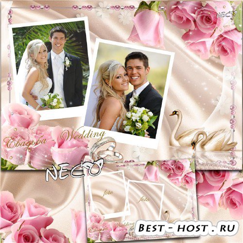 Изящная свадебная рамка с парой лебедей среди розовых роз на две фотографии