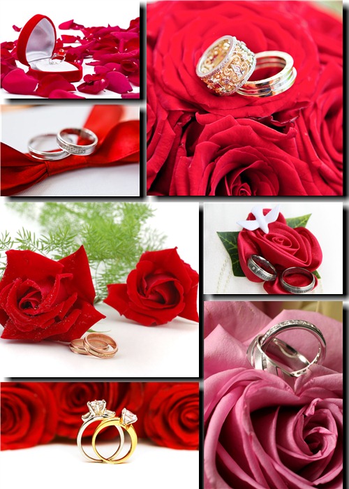 Клипарт - Романтические розы и кольца