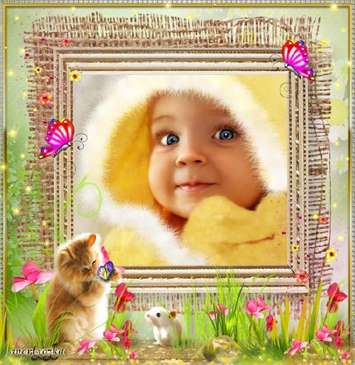 Детская рамка для фотошопа - Рыжий котенок и бабочки