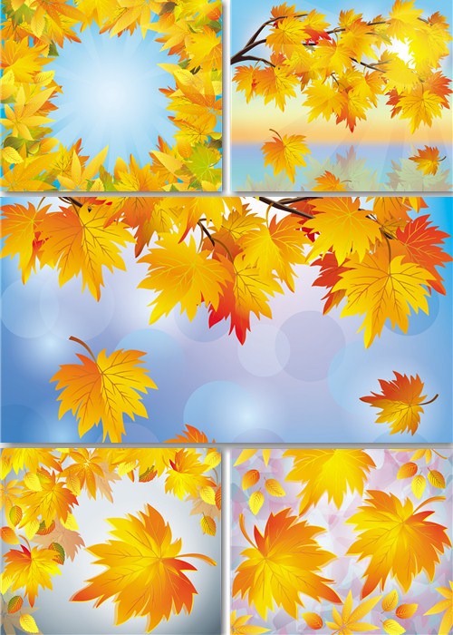 Растровые фоны - Осенние кленовые листья