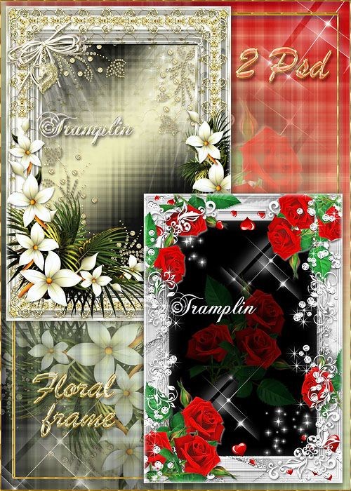 2 цветочные рамки Розы и Лилии – Жгучая и нежная