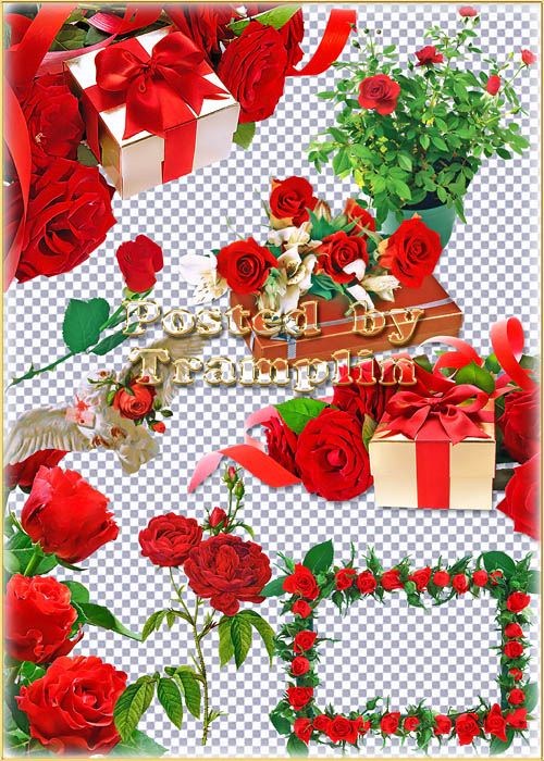 Клипартв Png – розы,  подарки и банты