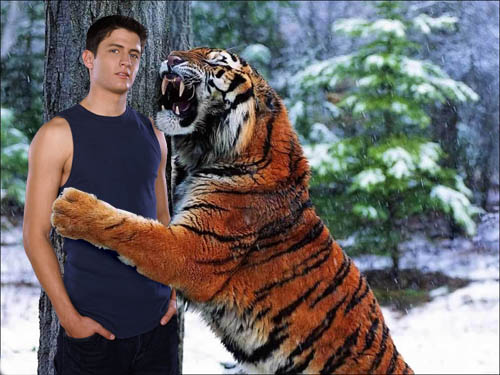 Рамка для фотошопа - в обнимку с тигром