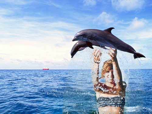 Рамка для фото - дельфины в море
