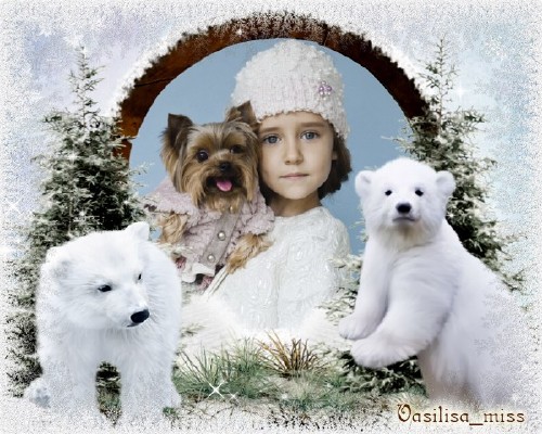 Новогодняя зимняя рамка – Белые медведи с лёгкой морозной изморозью