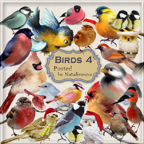 Клипарт в PNG – Зимние птички - снегири, синички