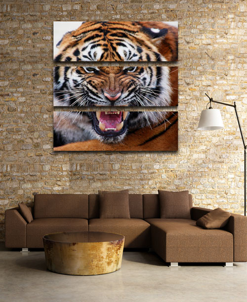 Триптих в psd формате - Тигр, хищник, животные семейства кошачьих