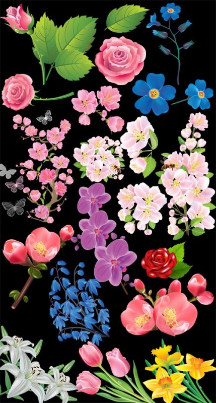 Клипарт - расцветающие веточки яблонь тюльпаны розы и другие прозрачный фон