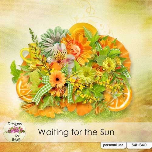 Цветочный скрап-набор - В ожидании солнца