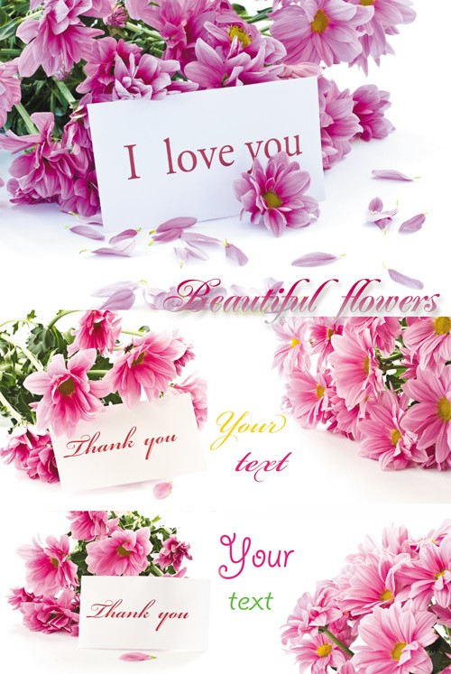 Цветы с карточками для текста, букеты цветов - растровый клипарт