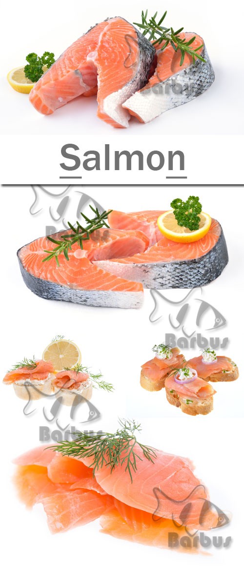 Salmon / Семга - photo stock