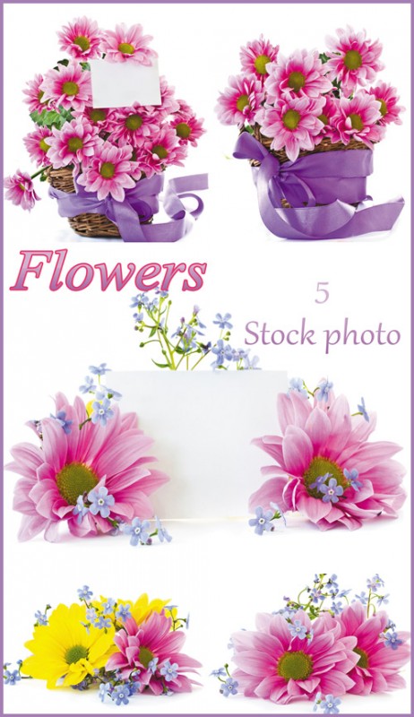 Цветы, корзина с цветами, цветы и карточка для текста - растровый клипарт