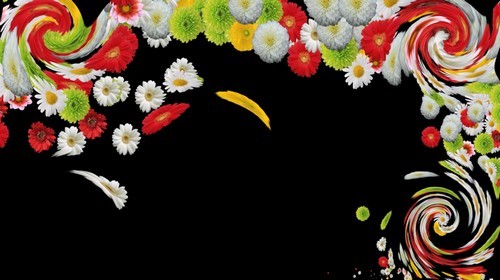 Футаж с альфаканалом - цветочная палитра