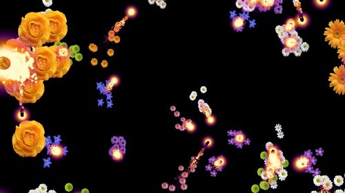 Футаж - Летающие огни с распускающимися цветами