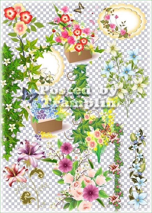 Клипарт на прозрачном фоне – Цветы, Цветочные композиции, букеты, листва