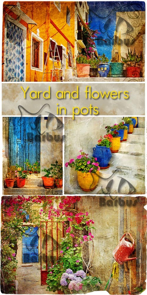 Yard and flowers in pots / Двор и цветки в горшках - photo stock