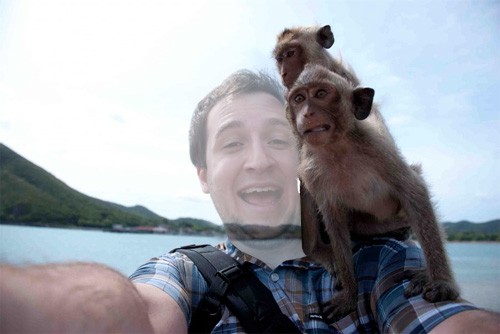 Шаблон для photoshop - Задорная фотка с обезьянками