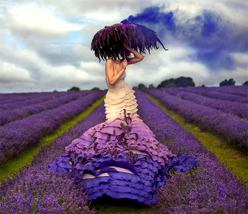 Шаблон для фотошопа - Женщина в красивом поле из лаванды