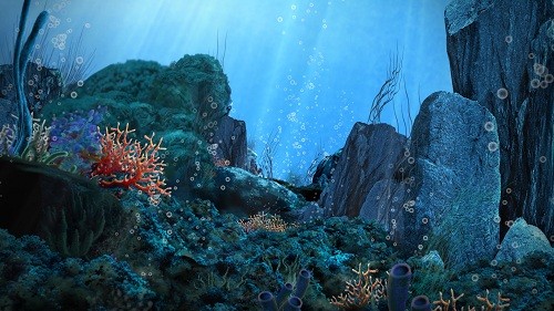 Футаж Подводный мир HD + SD