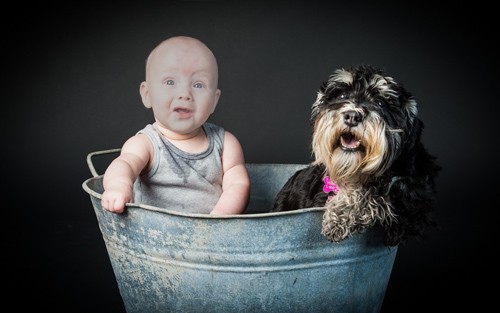 Детский шаблон - Ребёнок и собака купаются