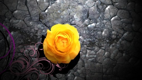 Футаж - Каменный цветок