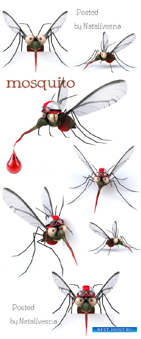 3D Комарики на белом фоне / 3D Mosquito - Stock photo