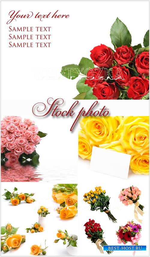 Цветы, прекрасные розы - растровый клипарт / Flowers, bouquets, roses