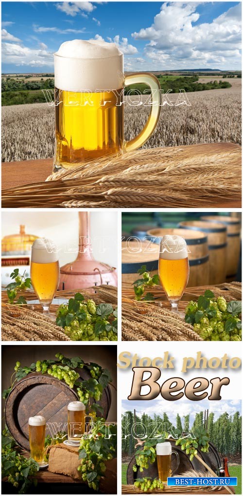 Пиво, бокал с пивом, хмель / Beer, a glass of beer, hops - Raster clipart