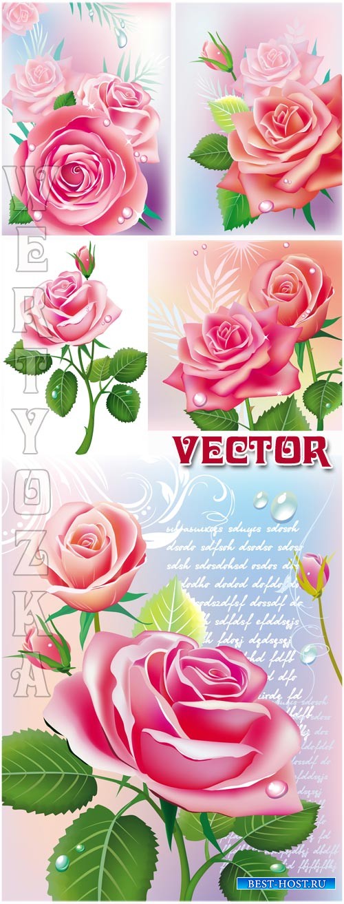 Прекрасные розовые розы / Beautiful pink roses - vector clipart