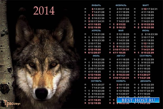 Календарь на 2014 год  -  Волк на охоте