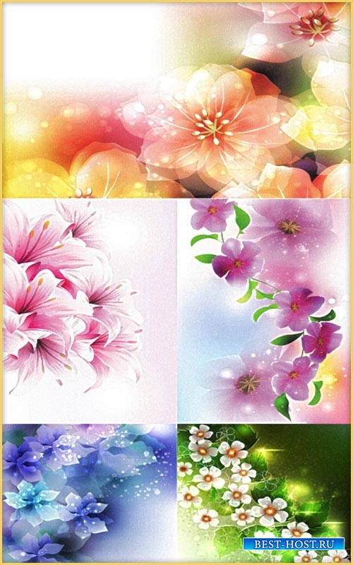 Цветочные фоны для открыток