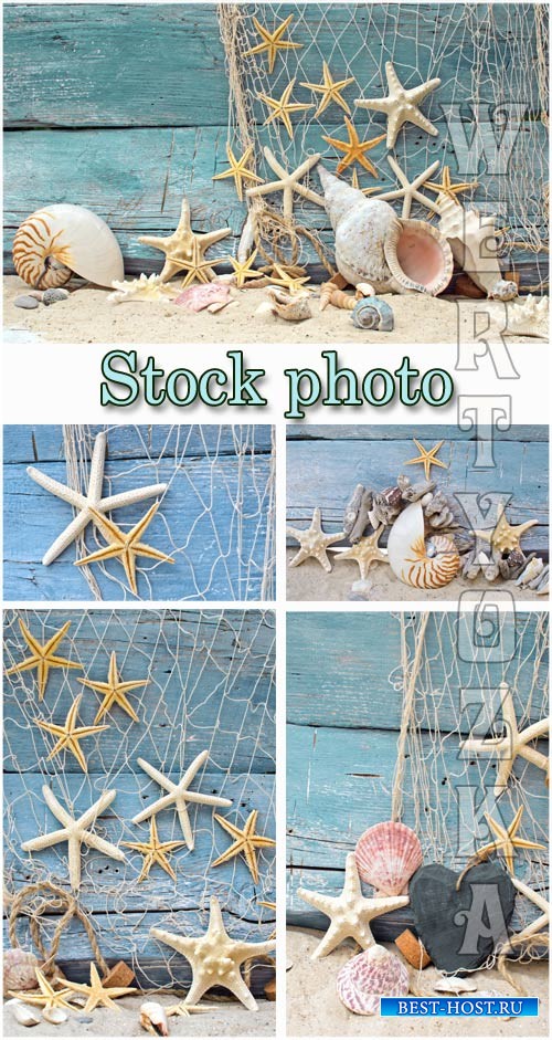 Морские фоны / Marine backgrounds, fishing nets and seashells - Raster clipart