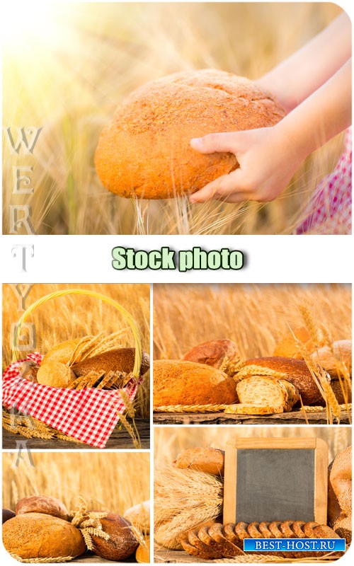 Хлеб, пшеничное поле, колоски / Bread, wheat field, spikelets - Raster clipart