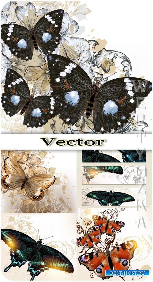 Бабочки и фоны с цветами / Butterflies and backgrounds with flowers - vecto ...