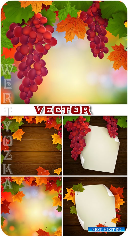 Гроздья винограда, осенние листья / Bunches of grapes, autumn leaves - vect ...