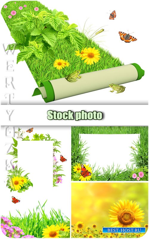 Цветы, зеленая трава и бабочки / Flowers, green grass and butterflies - Ras ...