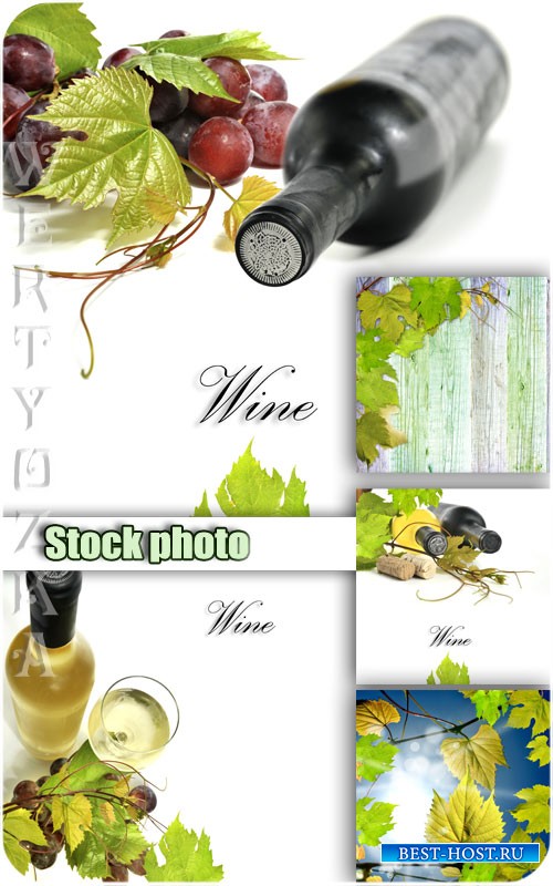 Вино, виноград, виноградные листья / Wine, grapes, grape leaves - Raster clipart