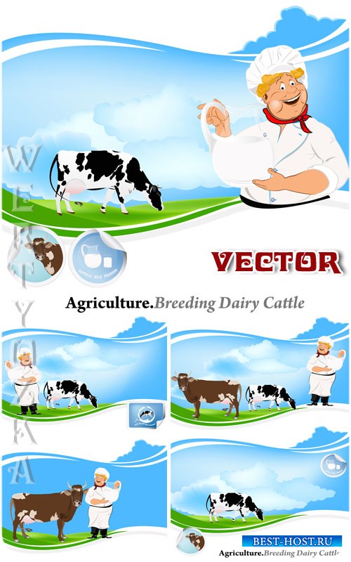Агрокультура, молочное скотоводство / Breeding dairy cattle - vector clipart