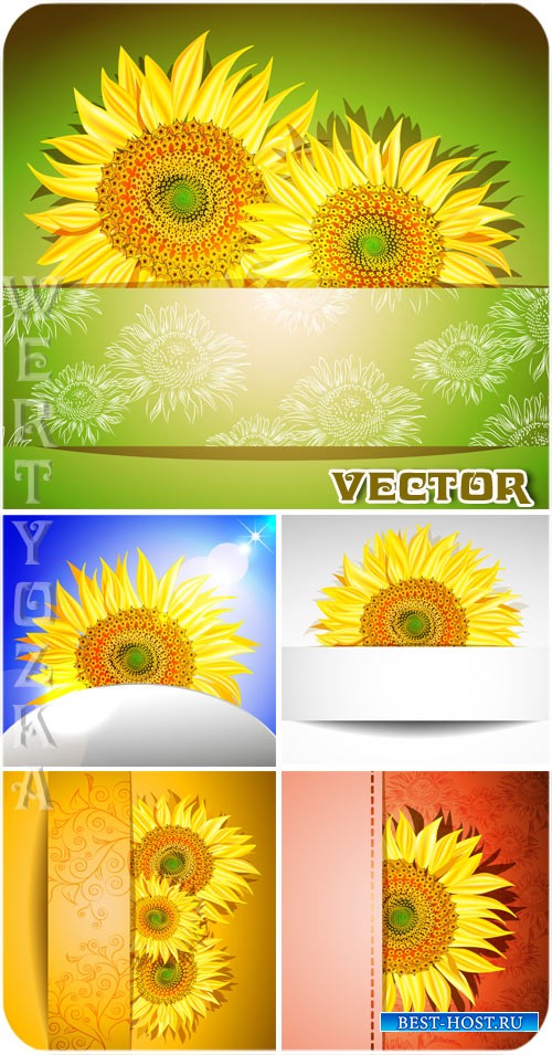 Векторные фоны с яркими подсолнухами  / Sunflowers - vector clipart