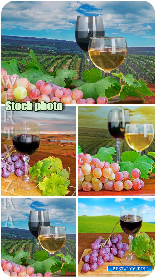 Бокалы вина и виноград / Glasses of wine and grapes - Raster clipart
