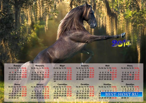 Настенный календарь 2014 года - Красивая лошадь