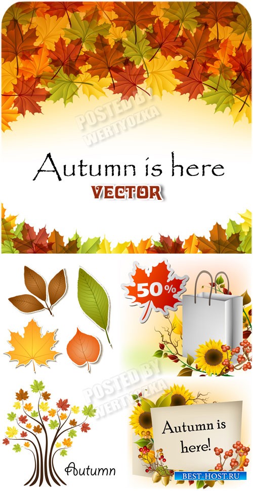 Осенние фоны, листья, цветы, деревья / Autumn backgrounds - vector
