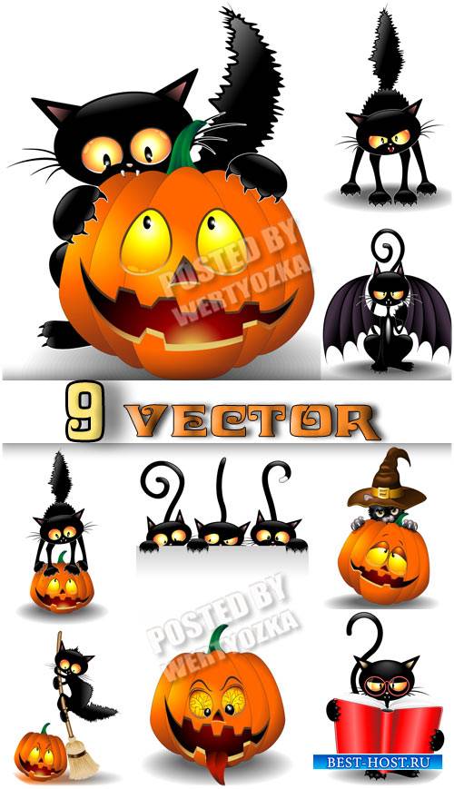 Черная кошка и тыква на хэллоуин / Black cat and pumpkin on Halloween - sto ...
