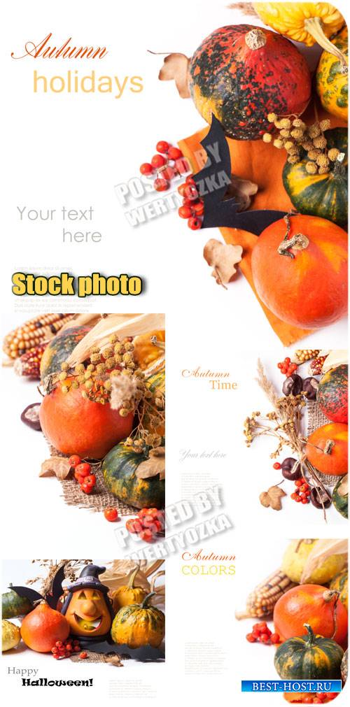Праздник осени / Celebration of Autumn - stock photos