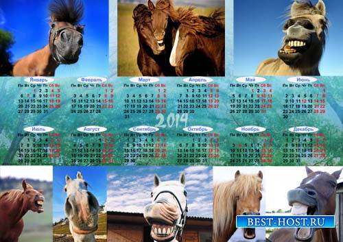 Календарь на 2014 год - Позитивные лошади