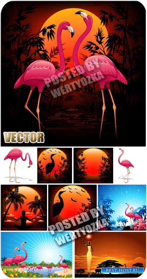 Розовый фламинго, природа / Pink flamingos, nature - stock vector