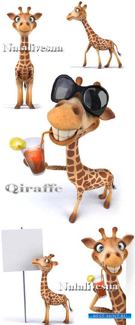 Забавный жираф на белом фоне / Giraffe - Stock photo