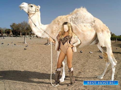 Симпатичная блондинка с белым верблюдом - шаблон для фото
