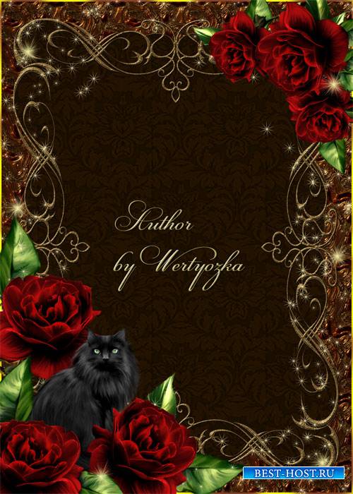 Рамка для фотошопа - Розы и черная кошка